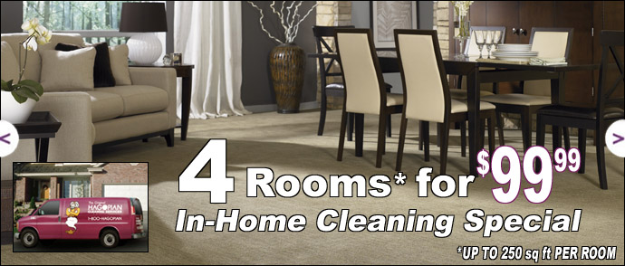 Cleaning Special