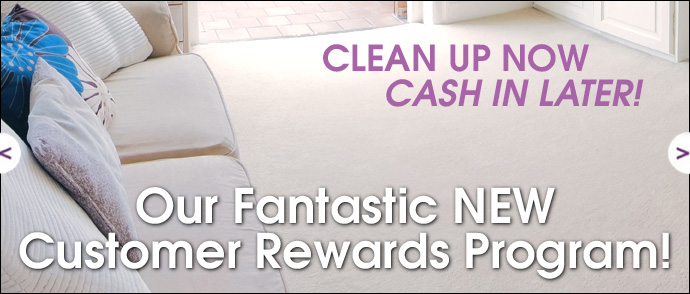 Rewards Program