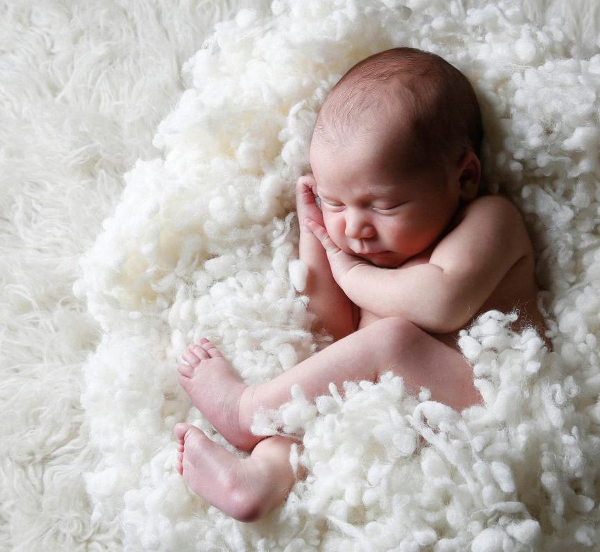 Wool Carpet Hagopian